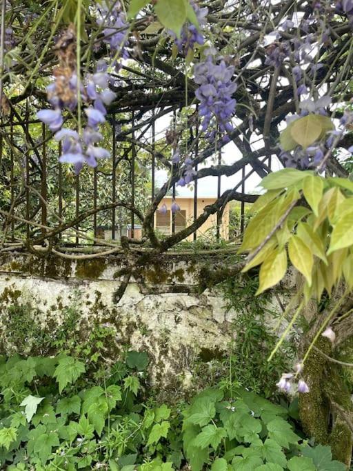 Gite Lilas Ideal Pour 4 Pers Capian Eksteriør bilde